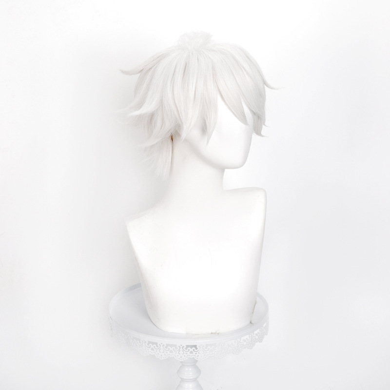 Perruque de cosplay Anime Witc - Men Accessories Silver avis et prix